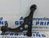 Ball Joint FIAT Ducato Pritsche/Fahrgestell (230)