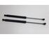 Bootlid (Tailgate) Gas Strut Spring RENAULT Clio III (BR0/1, CR0/1), RENAULT Clio IV (BH), RENAULT Clio II (BB, CB)