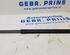 Bootlid (Tailgate) Gas Strut Spring FORD Kuga II (DM2), FORD Kuga I (--), FORD C-Max (DM2), FORD Focus C-Max (--)