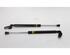 Bootlid (Tailgate) Gas Strut Spring TOYOTA Verso S (P12)