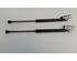 Bootlid (Tailgate) Gas Strut Spring RENAULT Clio IV Grandtour (KH), RENAULT Clio III Grandtour (KR0/1)