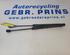 Bootlid (Tailgate) Gas Strut Spring KIA Niro (--)