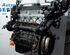 P19579139 Motor ohne Anbauteile (Benzin) KIA Rio II (JB) XXXXX
