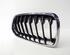 Plaat radiateurgrille BMW X2 (F39)