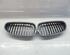 Radiator Grille BMW 5er Touring (E61)