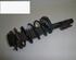 Suspension Strut FORD Escort VI (GAL), FORD Escort VI (AAL, ABL, GAL)