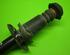 Shock Absorber AUDI A4 Avant (8D5, B5), AUDI A6 Avant (4B5)