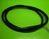 Door Seal JAGUAR XF (CC9, J05)