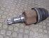 Drive Shaft FORD Focus Turnier (DNW)