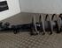 Suspension Strut BMW 3er (E36)