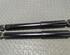 Shock Absorber FIAT Croma (194)