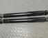 Shock Absorber FIAT Croma (194)