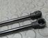 Bootlid (Tailgate) Gas Strut Spring DACIA Logan MCV II (--)