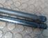 Bootlid (Tailgate) Gas Strut Spring BMW 3er Compact (E36)
