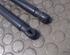 Bootlid (Tailgate) Gas Strut Spring OPEL Vectra C CC (--)