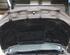 MOTORHAUBE  (Deckel vorn) Ford Mondeo Benzin (B5Y/B4Y/BWY) 1798 ccm 92 KW 2000>2003
