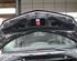 Radiator Grille RENAULT Modus/Grand Modus (F/JP0)