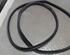 Door Seal FORD Fiesta VII (HF, HJ)