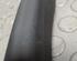 Door Seal FORD Fiesta VII (HF, HJ)