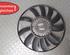 Radiator Fan Clutch VW Passat (3B3)