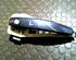 Door light bulb OPEL Signum (--)