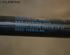 Gas Spring LAND ROVER Range Rover Sport (L320)