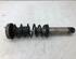 Suspension Strut BMW 6er (E63)