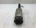 Shock Absorber LAND ROVER Range Rover Sport (L320)