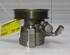 Power steering pump FIAT Doblo Großraumlimousine (263), FIAT Doblo Cargo (263)