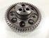 Camshaft Gear Iveco Stralis Zwischenzahnrad 500305490 500305485 500305484 Cursor10